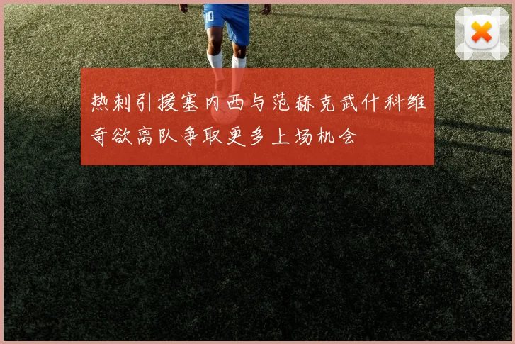 热刺引援塞内西与范赫克武什科维奇欲离队争取更多上场机会